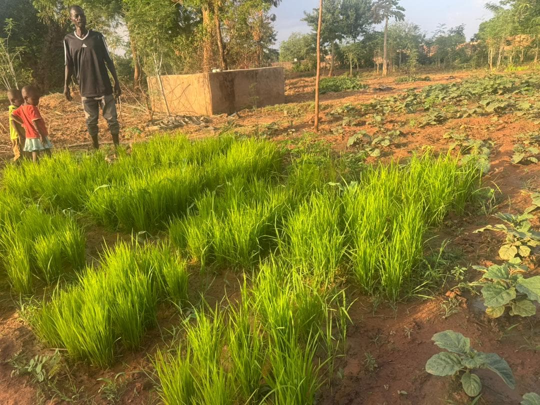 Lutte contre le Paludisme au Burkina Faso.